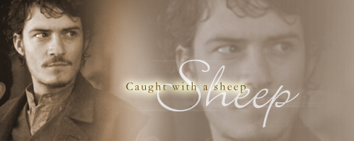 caught with a sheep